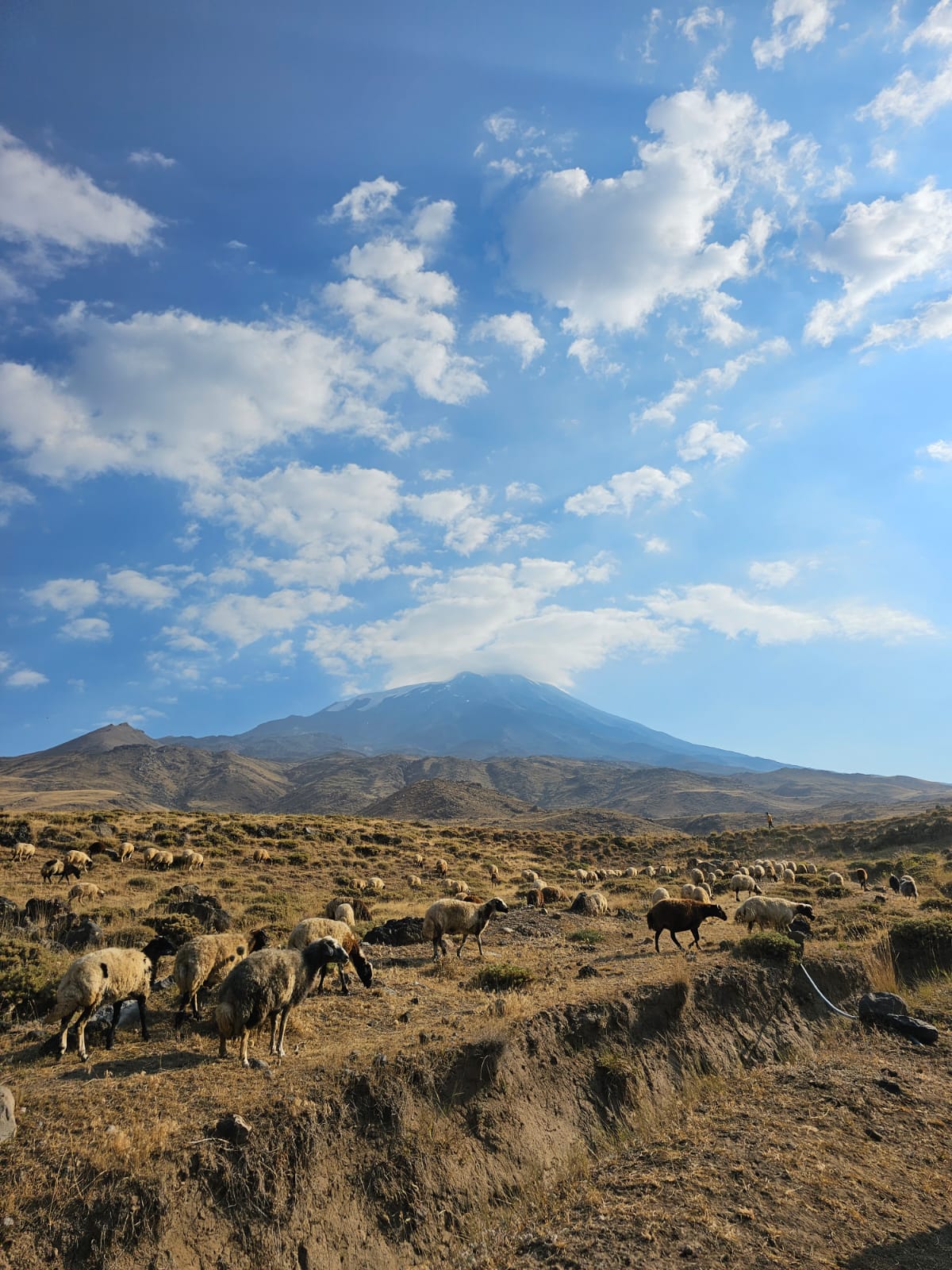 ararat turcia 2024 ararat turcia 2024