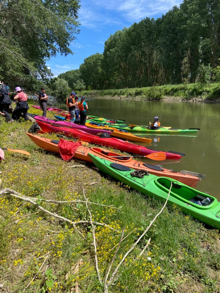 kayak