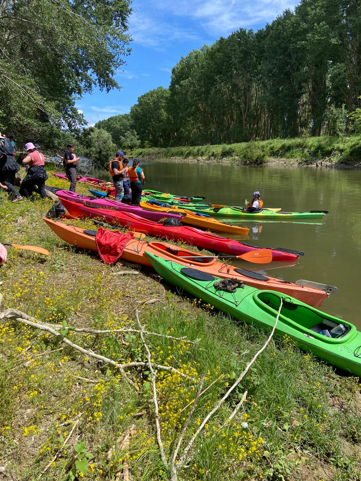 kayak