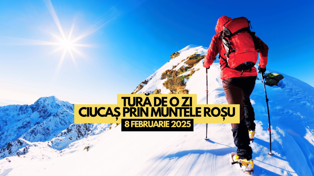 Ciucas